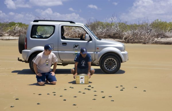 Suzuki Jimny é eleito o carro oficial do Projeto Tamar