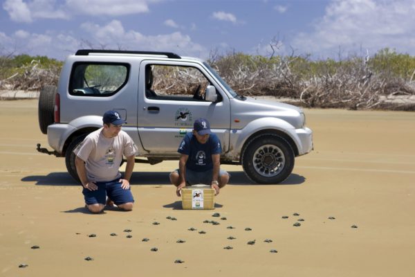 Suzuki Jimny é eleito o carro oficial do Projeto Tamar